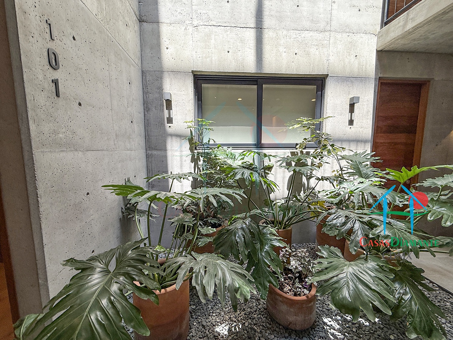 Las Aguilas Ursus AJA - Acceso 3 Las Aguilas Ursus AJA - Acceso 3